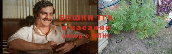 гашик Балахна
