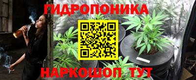 молекула духа Краснокаменск