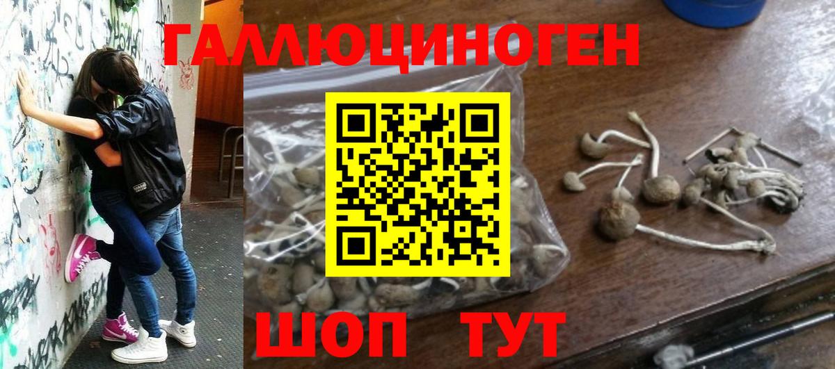 Псилоцибиновые грибы Cubensis  Вход с VPN  Коломна 