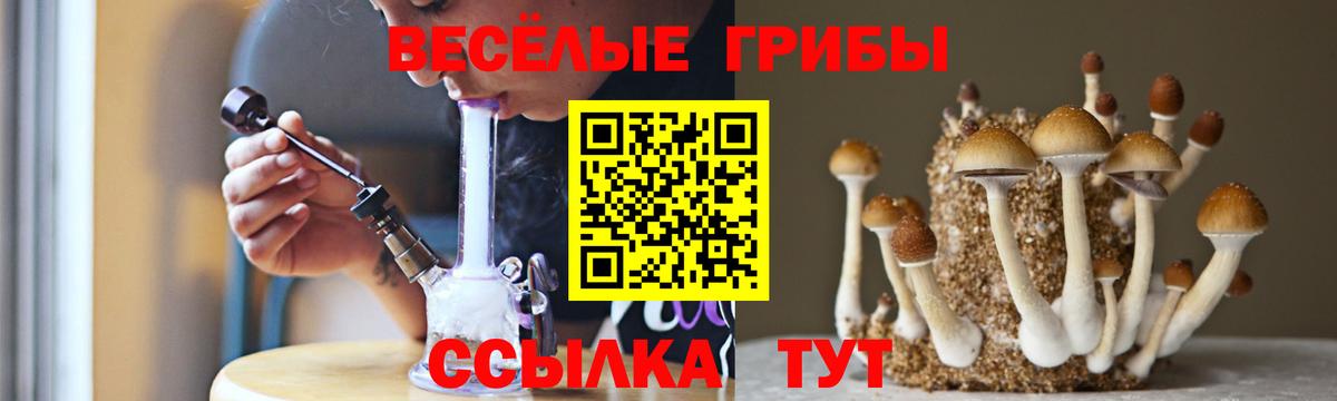 Псилоцибиновые грибы Cubensis Коломна